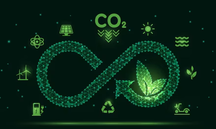 India’s Path to 2070 Net Zero: Progress and gaps as of 2024