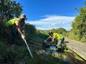 By land, sea and sky, Māori are using Indigenous knowledge to combat climate change 1