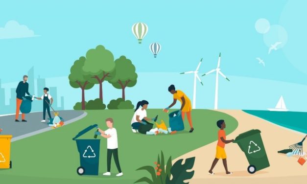 8 Small Ways You Can Make a Positive Impact on the Environment