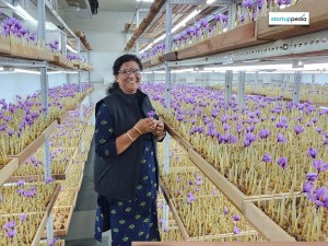 64-Year-Old UP Woman Grows Saffron Indoors, Earns Rs 10 Lakh Annually 1