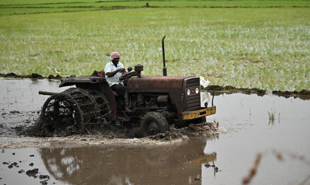 Farmers rush to plant summer crops as monsoon revives