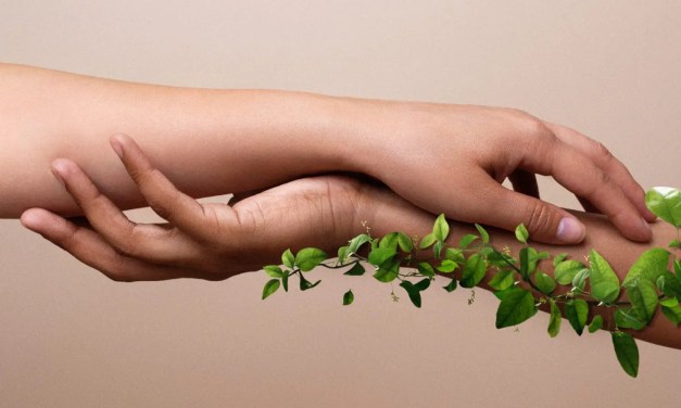 7 Positive Effects of Human Activities on the Environment