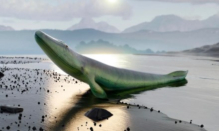 Meet 2 ‘Indestructible’ Land Animals That Survived Earth’s 4 Mass Extinctions