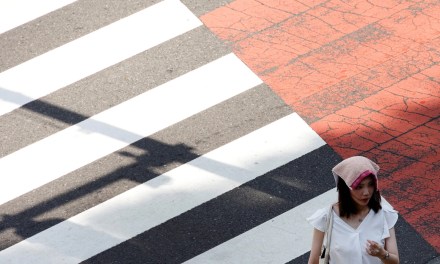 Summer 2024 the hottest on record, and other nature and climate stories you need to read this week