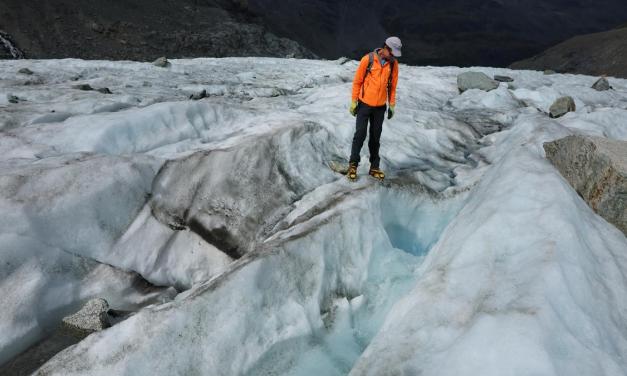 Post-glacial ecosystems could help slow down climate change: Study