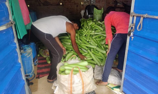 A Jharkhand farmer uses AI and technology to modernise farming
