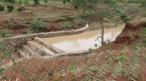 Building Resilience in Tigray: How CSA is Pioneering Sustainable Agriculture in Ethiopia 1
