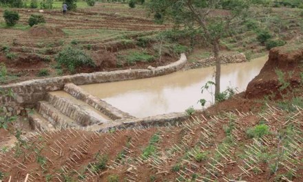 Building Resilience in Tigray: How CSA is Pioneering Sustainable Agriculture in Ethiopia