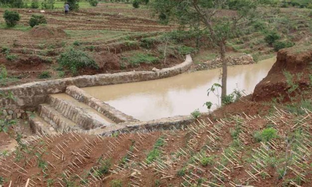 Building Resilience in Tigray: How CSA is Pioneering Sustainable Agriculture in Ethiopia