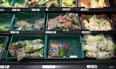 Over 3,600 Food Packaging Chemicals Found In Human Bodies In New Study