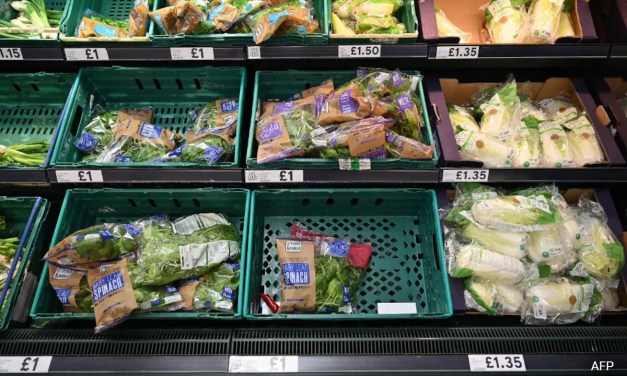 Over 3,600 Food Packaging Chemicals Found In Human Bodies In New Study