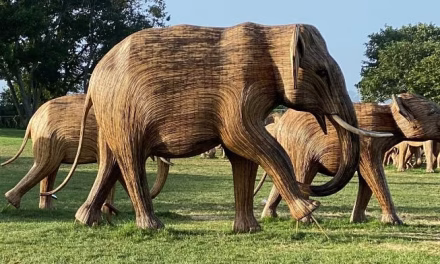 From Tamil Nadu to New York, unique & sustainable Lantana elephant sculptures travel the world