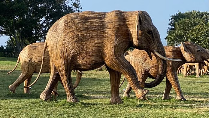 From Tamil Nadu to New York, unique & sustainable Lantana elephant sculptures travel the world