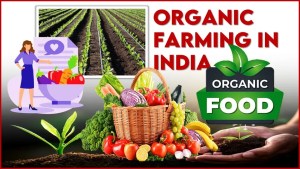 Organic Farming in India: Principle, Advantages, Scope and Companies 1 Organic Farming in India: Principle, Advantages, Scope and Companies 1