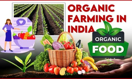 Organic Farming in India: Principle, Advantages, Scope and Companies