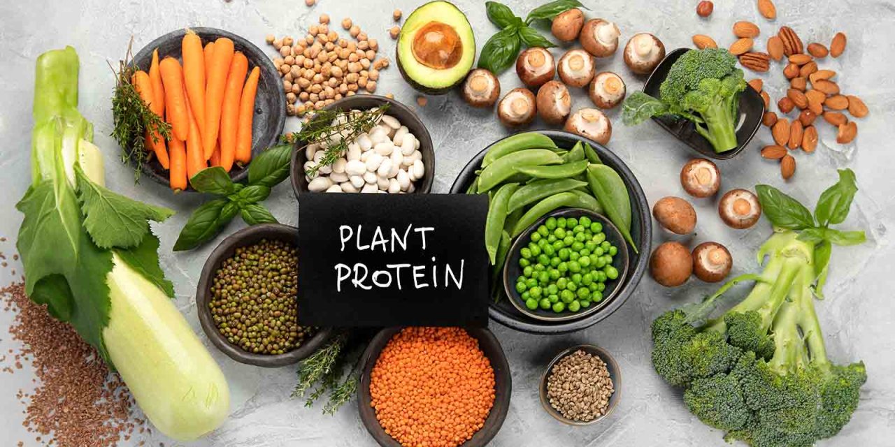 7 benefits of plant protein and where to get it from