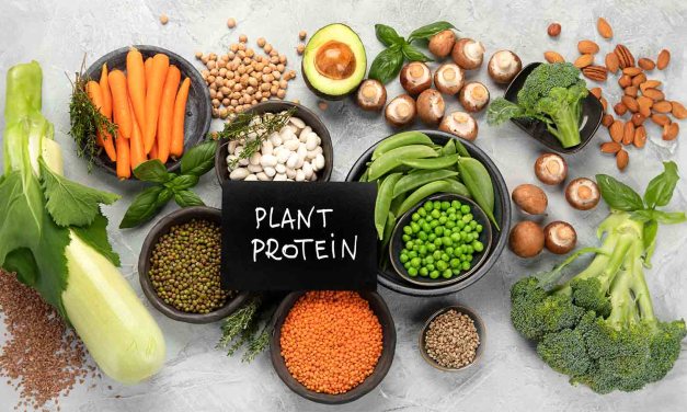 7 benefits of plant protein and where to get it from
