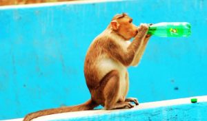 From June to August, the World Experienced Unusual Heat Made at Least 3 Times More Likely by Climate Change 1