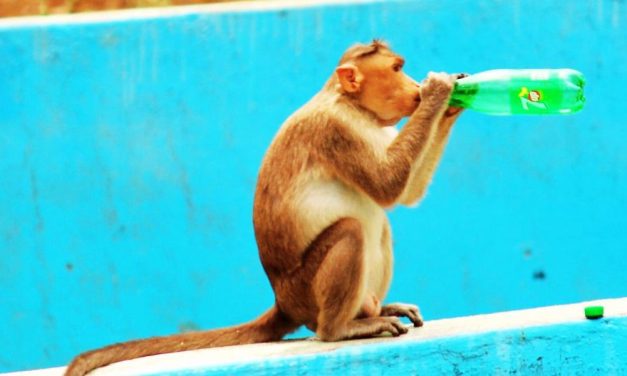 From June to August, the World Experienced Unusual Heat Made at Least 3 Times More Likely by Climate Change