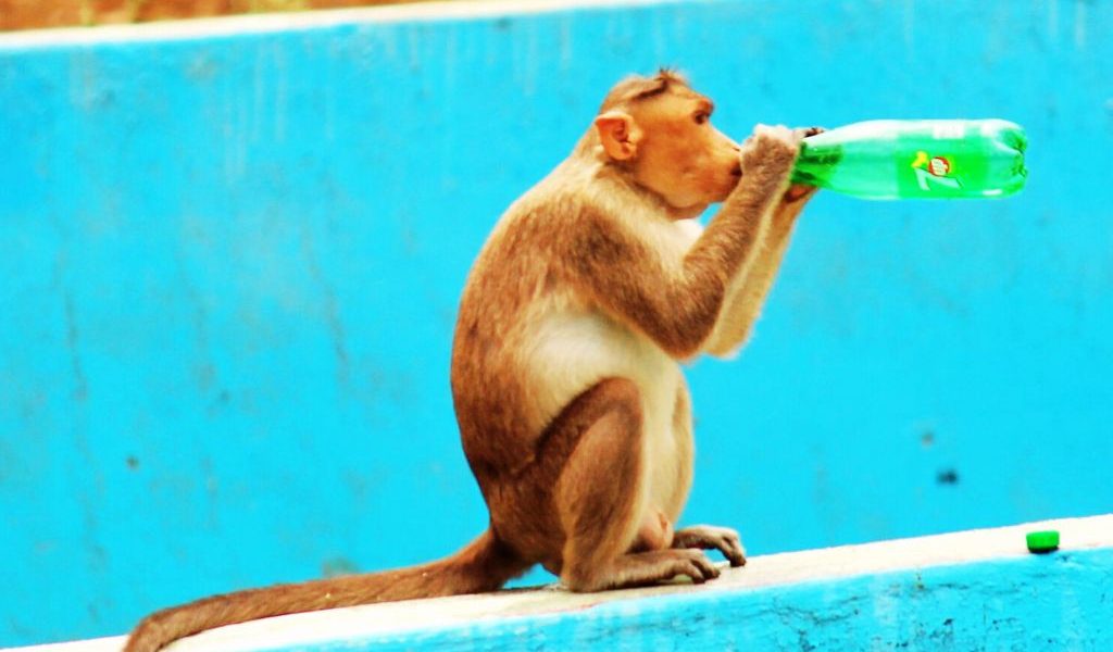 From June to August, the World Experienced Unusual Heat Made at Least 3 Times More Likely by Climate Change