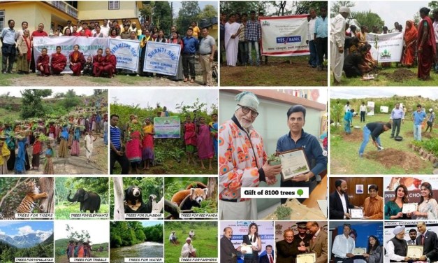 20 Million Trees Set to Expand India’s Green Cover and Absorb Over 400 Million Kgs of Carbon Annually