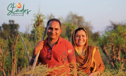 Couple leaves city life for organic moringa farming; clocks turnover of Rs10 lakh per acre