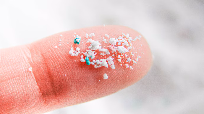 Microplastics found in human brain: Should we be worried?