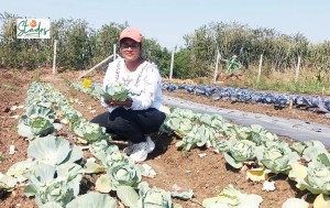 MBA woman farmer turns barren land into organic vegetable farm; clocks Rs25 lakh revenues 1