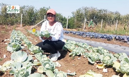 MBA woman farmer turns barren land into organic vegetable farm; clocks Rs25 lakh revenues