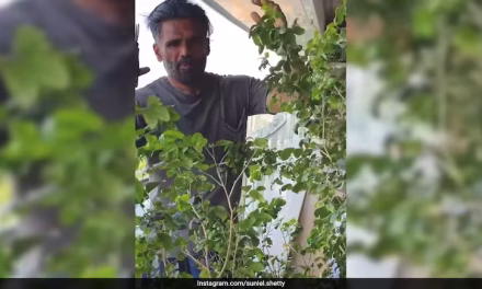 Suniel Shetty’s “Trim The Old, Make Space For New” Plant Pruning Mantra Applies To Life Too