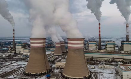 UAE to unveil national climate plan under Paris pact before COP29