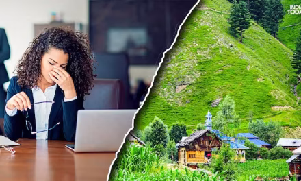 Why Indians of all ages are logging out of the rat race to take up slow living