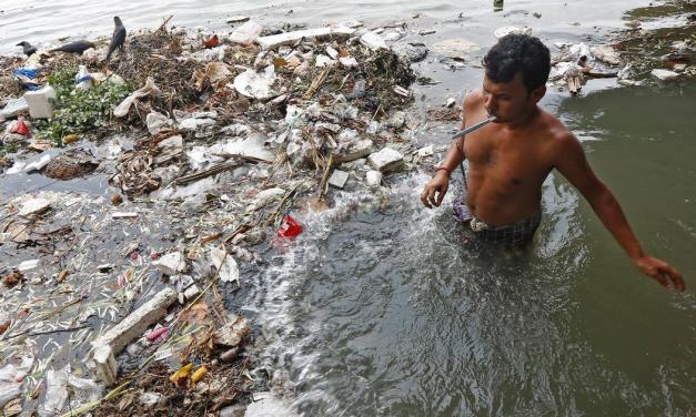 India’s air, water, land are all polluted. The government has failed to tackle this, says a new book