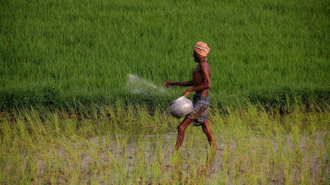 Climate change impact harsher on poorer farmers in India: FAO report