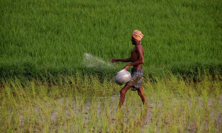 Climate change impact harsher on poorer farmers in India: FAO report
