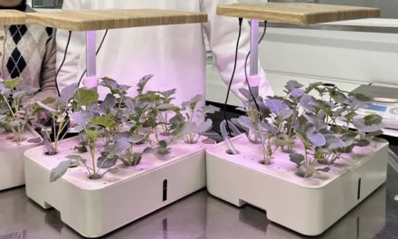 New device for ultra-clean water aims to boost hydroponics, sustainable agriculture