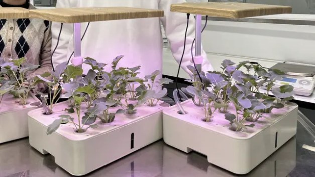 New device for ultra-clean water aims to boost hydroponics, sustainable agriculture