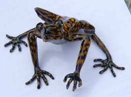 13 animals named after celebrities, from pop royalty to kings