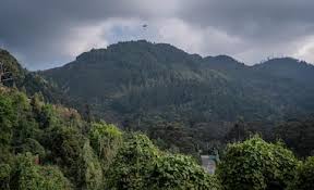 UN climate secy gives call to ‘step up’ climate finance ahead of COP29