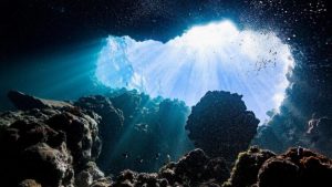 Dark oxygen, discovered for the first time in history: It’s under the sea and it’s not good at all 1