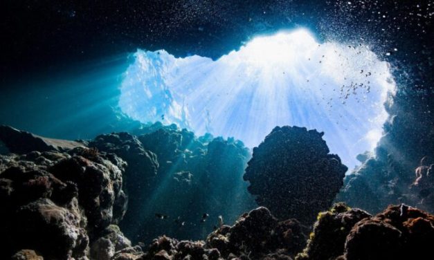 Dark oxygen, discovered for the first time in history: It’s under the sea and it’s not good at all