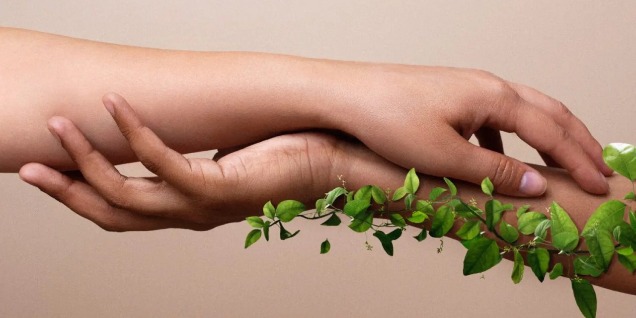 7 Positive Effects of Human Activities on the Environment