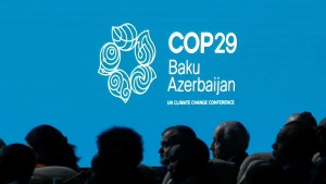 COP29 climate agreement a boost for India's carbon market ambitions 1