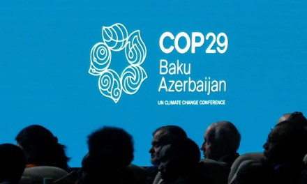 COP29 climate agreement a boost for India’s carbon market ambitions