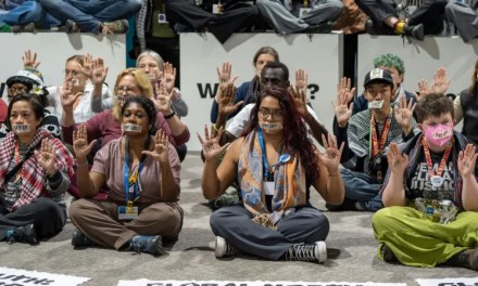 Huge deal struck but is it enough? 5 takeaways from a dramatic COP29