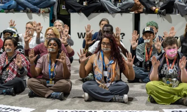 Huge deal struck but is it enough? 5 takeaways from a dramatic COP29