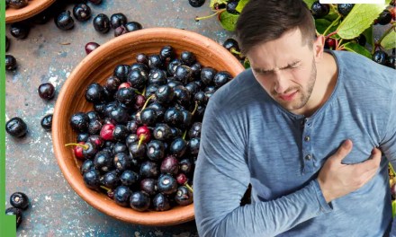 7 Black Superfoods To Clear Clogged Arteries And Prevent Arterial Plaque Formation Naturally