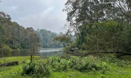 IDR Explains | Nature-based Solutions