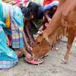 Opinion | Sustainability And Spirituality: Why Bharat’s Traditions Matter Now More Than Ever