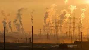 Conservation Expert Warns Earth Is In Midst Of Sixth Great Extinction: “We Don’t Have Time Left”